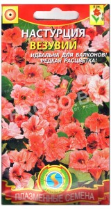 Настурция Везувий