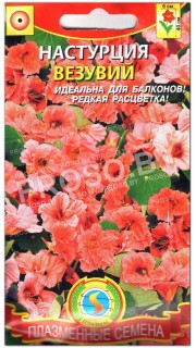 Настурция Везувий