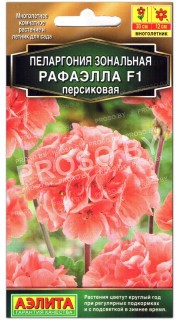 Пеларгония Рафаэлла F1 персиковая