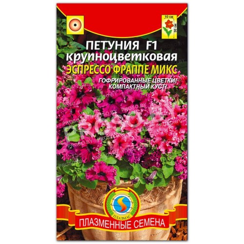 Петуния крупноцветковая Эспрессо Фраппе микс F1