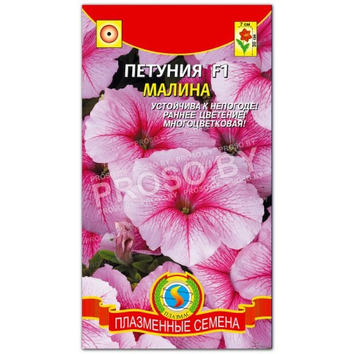 Петуния Малина F1