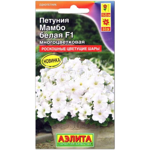 Петуния Мамбо белая F1, многоцветковая