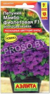 Петуния многоцветковая Мамбо фиолетовая F1