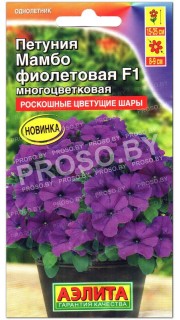 Петуния многоцветковая Мамбо фиолетовая F1