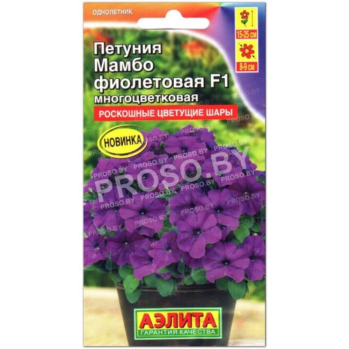 Петуния Мамбо фиолетовая F1, многоцветковая