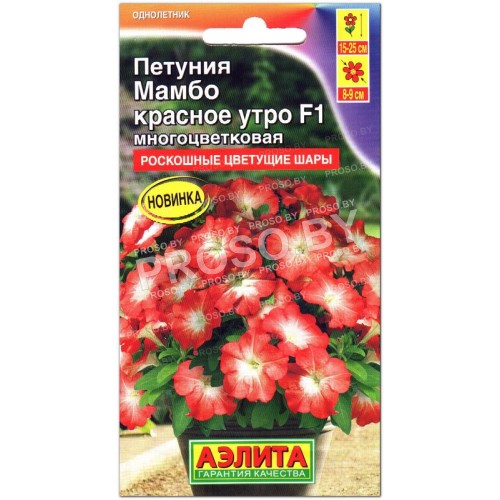 Петуния Мамбо красное утро F1