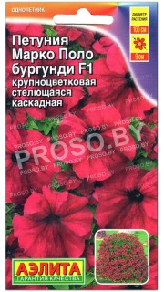 Петуния каскадная Марко Поло бургунди F1