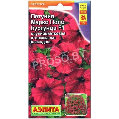 Петуния Марко Поло бургунди F1