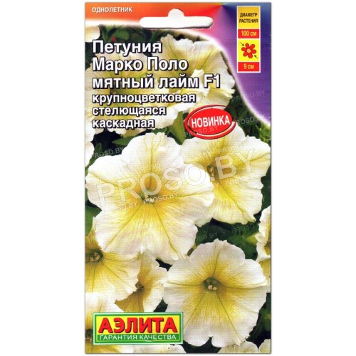 Петуния Марко Поло мятный лайм F1