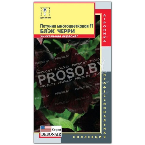 Петуния многоцветковая Блэк черри F1