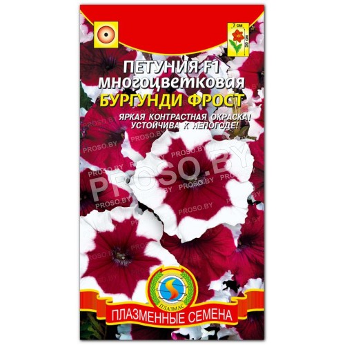 Петуния многоцветковая Бургунди фрост F1