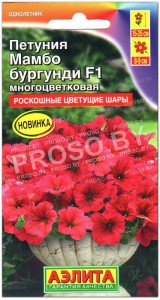 Петуния многоцветковая Мамбо бургунди F1