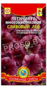 Петуния многоцветковая Сливовый лед F1