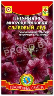 Петуния многоцветковая Сливовый лед F1