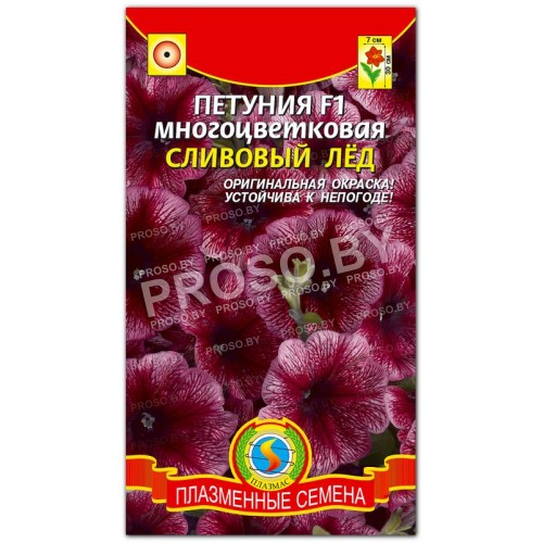 Петуния многоцветковая Сливовый лед F1