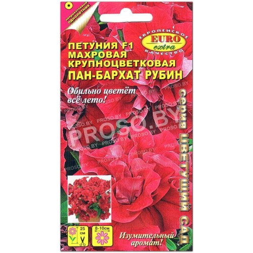 Петуния Пан-бархат Рубин