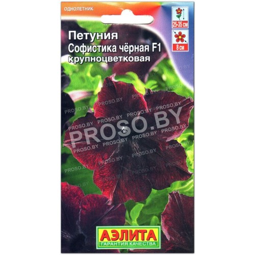 Петуния Софистика черная F1, крупноцветковая