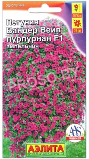 Петуния ампельная Вандер Вэйв пурпурная F1