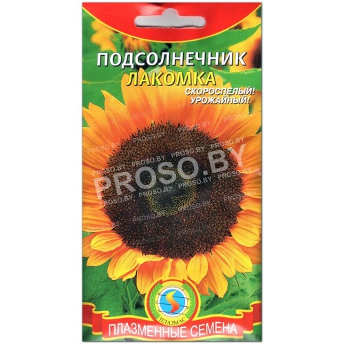 Подсолнечник Лакомка-1
