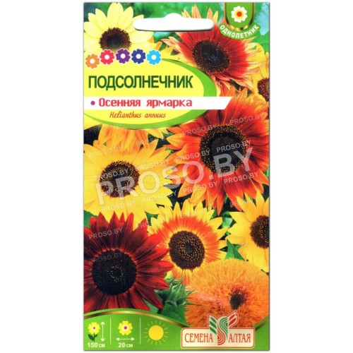 Подсолнечник Осенняя ярмарка