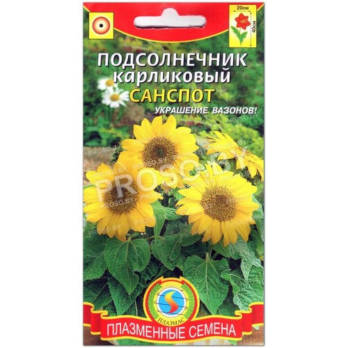 Подсолнечник Санспот