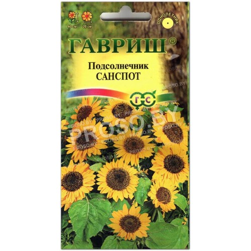 Подсолнечник Санспот-1