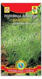 Полевица ажурная Шампань