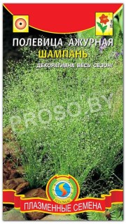 Полевица ажурная Шампань
