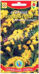 Статице Бондюелли