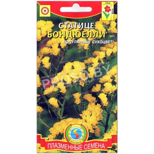 Статице Бондюелли