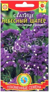 Статице Небесный шатер