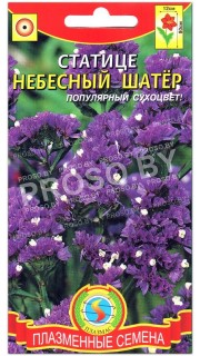Статице Небесный шатер