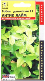 Табак душистый Антик лайм F1