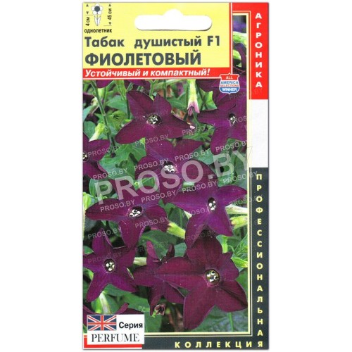 Табак душистый Фиолетовый F1