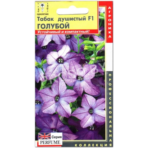 Табак душистый Голубой F1