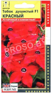 Табак душистый Красный F1