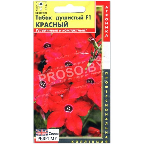 Табак душистый Красный F1