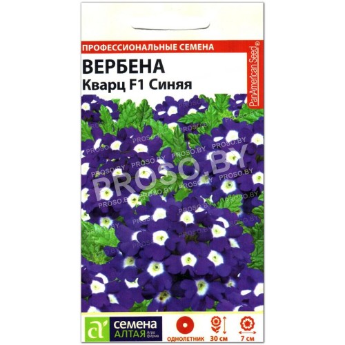 Вербена Кварц синяя F1