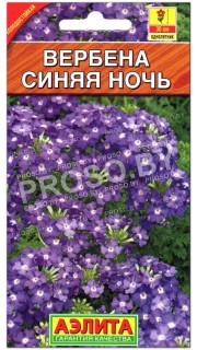 Вербена Синяя ночь