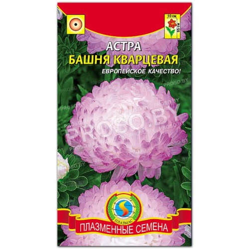 Астра Башня кварцевая