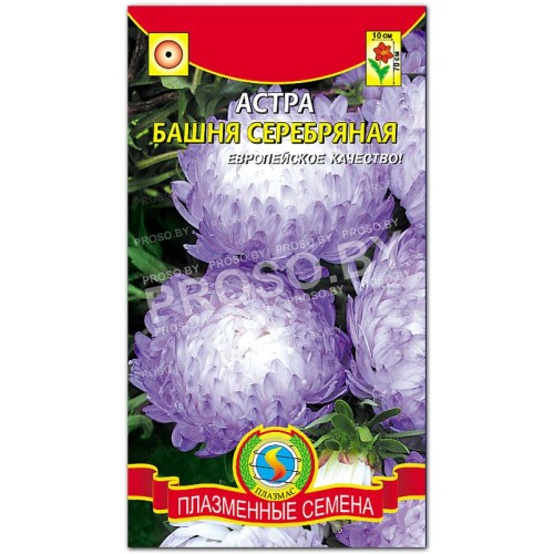 Астра Серебряная башня-1