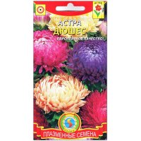 Астра Дюшес, смесь