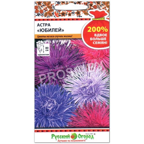 Астра Юбилей