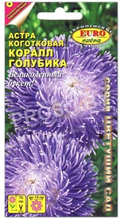 Астра коготковая Коралл голубика