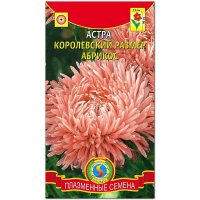 Астра Королевский размер Абрикос(овая)