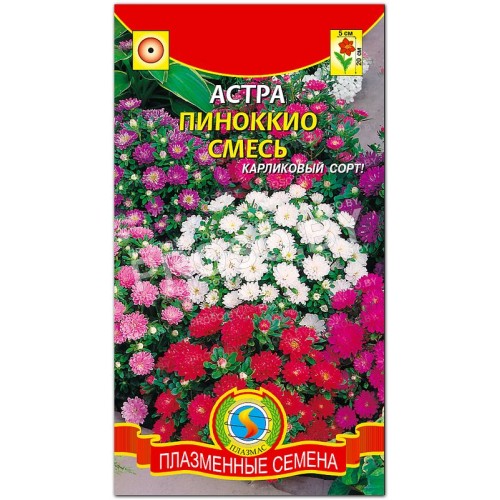 Астра Пиноккио, смесь-1