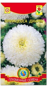 Астра Принцесса Диана