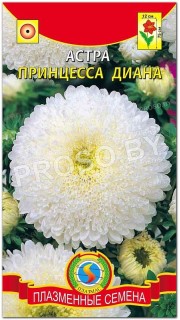 Астра Принцесса Диана