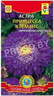 Астра Принцесса Клеманс