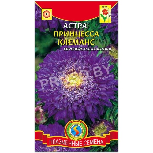 Астра Принцесса Клеманс